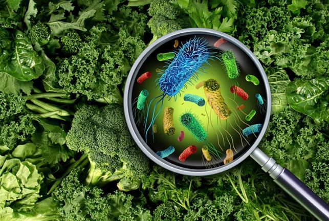 Chemical Contamination in Food